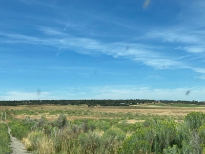 Irrigated Farm Land For Sale In Norwood, Colorado - image 6