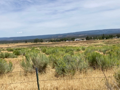 Irrigated Farm Land For Sale In Norwood, Colorado - image 5