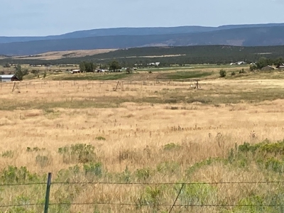 Irrigated Farm Land For Sale In Norwood, Colorado - image 9