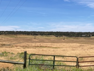 Irrigated Farm Land For Sale In Norwood, Colorado - image 7