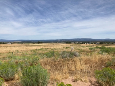 Irrigated Farm Land For Sale In Norwood, Colorado - image 11