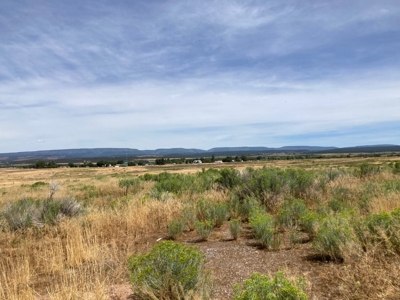 Irrigated Farm Land For Sale In Norwood, Colorado - image 10