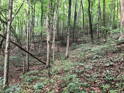 Land for Sale in Saltville VA - image 5