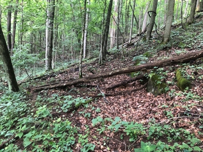 Land for Sale in Saltville VA - image 2
