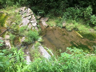 Land for Sale in Saltville VA - image 9