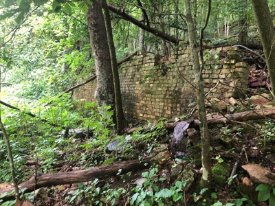 Land for Sale in Saltville VA - image 8