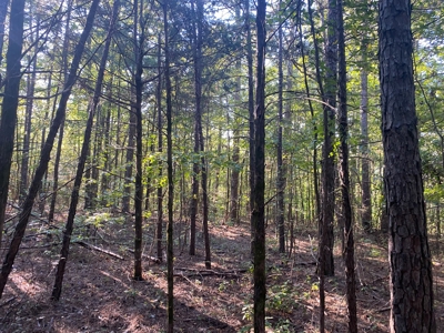 Land For Sale In Tn, 5 Acres+/-, Camper Or Rv Welcome - image 8