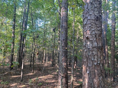Land For Sale In Tn, 5 Acres+/-, Camper Or Rv Welcome - image 9