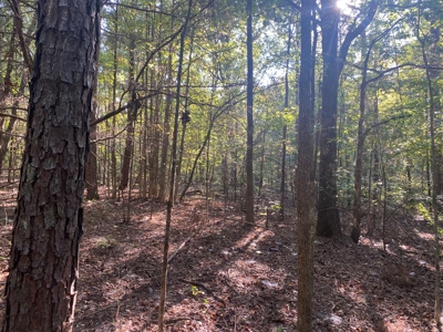 Land For Sale In Tn, 5 Acres+/-, Camper Or Rv Welcome - image 14