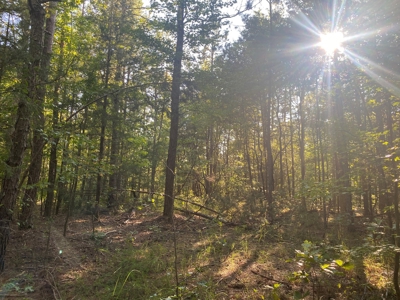 Land For Sale In Tn, 5 Acres+/-, Camper Or Rv Welcome - image 18
