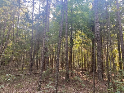 Land For Sale In Tn, 5 Acres+/-, Camper Or Rv Welcome - image 4