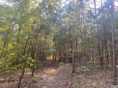 Land For Sale In Tn, 5 Acres+/-, Camper Or Rv Welcome - image 3