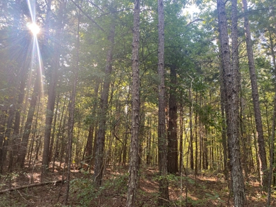 Land For Sale In Tn, 5 Acres+/-, Camper Or Rv Welcome - image 6