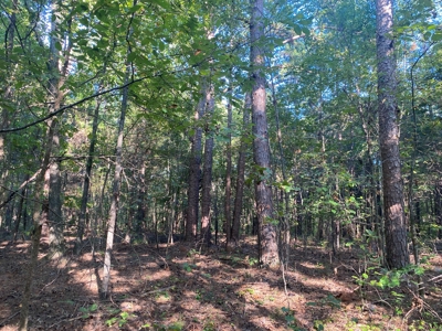 Land For Sale In Tn, 5 Acres+/-, Camper Or Rv Welcome - image 12