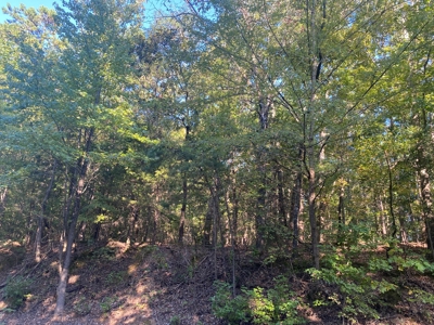 Land For Sale In Tn, 5 Acres+/-, Camper Or Rv Welcome - image 21