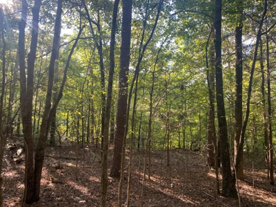 Land For Sale In Tn, 5 Acres+/-, Camper Or Rv Welcome - image 11