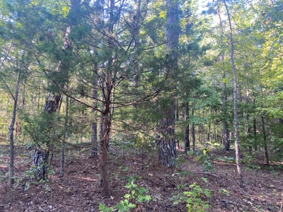 Land For Sale In Tn, 5 Acres+/-, Camper Or Rv Welcome - image 19