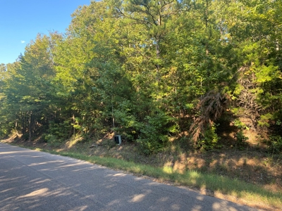 Land For Sale In Tn, 5 Acres+/-, Camper Or Rv Welcome - image 2