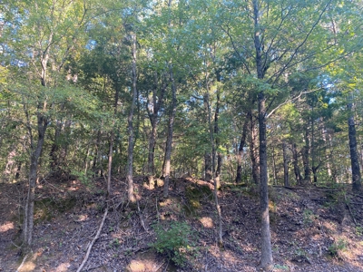 Land For Sale In Tn, 5 Acres+/-, Camper Or Rv Welcome - image 22