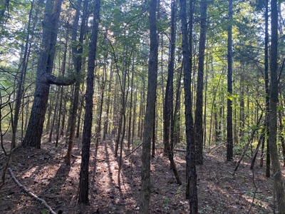 Land For Sale In Tn, 5 Acres+/-, Camper Or Rv Welcome - image 7
