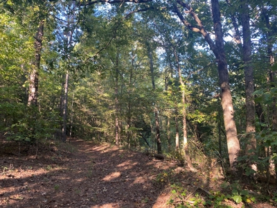 Land For Sale In Tn, 5 Acres+/-, Camper Or Rv Welcome - image 1