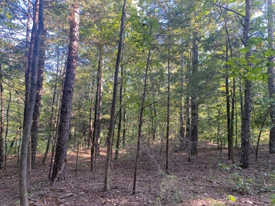 Land For Sale In Tn, 5 Acres+/-, Camper Or Rv Welcome - image 17