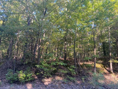 Land For Sale In Tn, 5 Acres+/-, Camper Or Rv Welcome - image 20