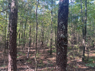 Land For Sale In Tn, 5 Acres+/-, Camper Or Rv Welcome - image 15