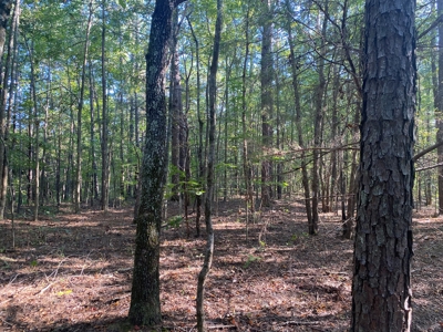 Land For Sale In Tn, 5 Acres+/-, Camper Or Rv Welcome - image 13
