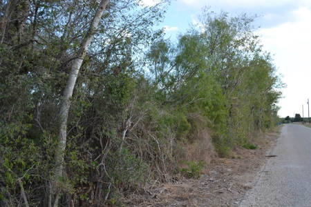 Cleared Land in Devine, Texas - image 5