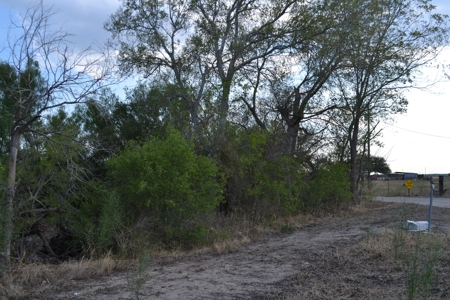 Cleared Land in Devine, Texas - image 2
