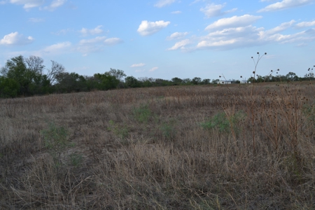Cleared Land in Devine, Texas - image 8