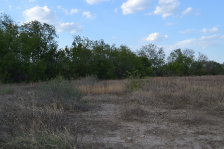 Cleared Land in Devine, Texas - image 9