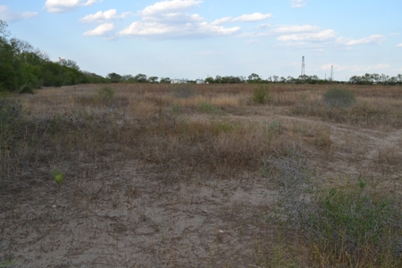 Cleared Land in Devine, Texas - image 6