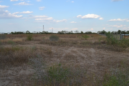Cleared Land in Devine, Texas - image 7
