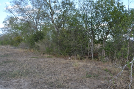 Cleared Land in Devine, Texas - image 1
