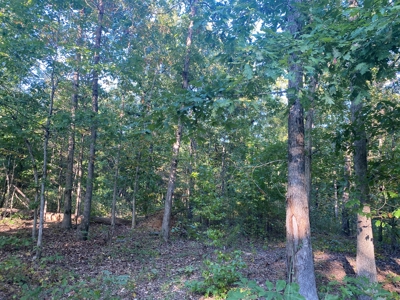 Land For Sale In Tn, 7 Acres+/-, Corner Frontage - image 17
