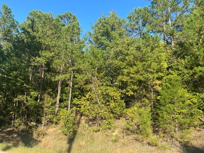 Land For Sale In Tn, 7 Acres+/-, Corner Frontage - image 7