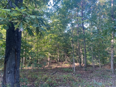 Land For Sale In Tn, 7 Acres+/-, Corner Frontage - image 18