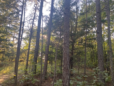 Land For Sale In Tn, 7 Acres+/-, Corner Frontage - image 22