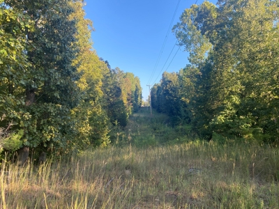 Land For Sale In Tn, 7 Acres+/-, Corner Frontage - image 3