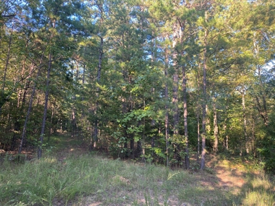 Land For Sale In Tn, 7 Acres+/-, Corner Frontage - image 20