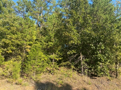 Land For Sale In Tn, 7 Acres+/-, Corner Frontage - image 6