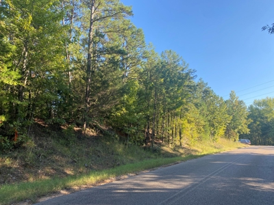Land For Sale In Tn, 7 Acres+/-, Corner Frontage - image 1