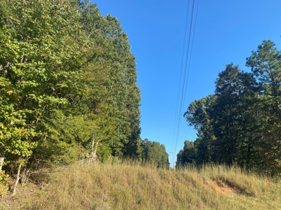 Land For Sale In Tn, 7 Acres+/-, Corner Frontage - image 8