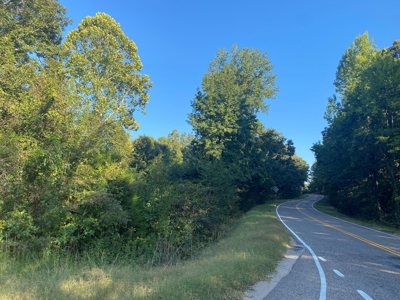 Land For Sale In Tn, 7 Acres+/-, Corner Frontage - image 10