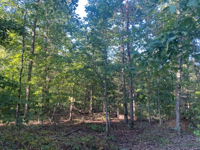 Land For Sale In Tn, 7 Acres+/-, Corner Frontage - image 19