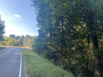 Land For Sale In Tn, 7 Acres+/-, Corner Frontage - image 11