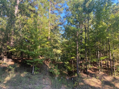 Land For Sale In Tn, 7 Acres+/-, Corner Frontage - image 5