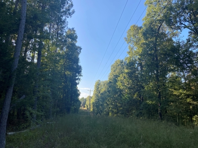 Land For Sale In Tn, 7 Acres+/-, Corner Frontage - image 14